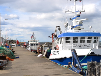  Photo:  Tore Henning Larsen